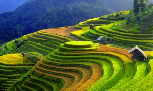 Hanoi-Halong bay-Sapa-City tour (7ds 6ns Package)