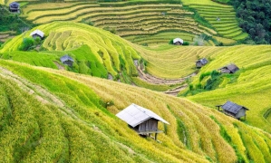 Hanoi-Halong bay-Sapa-City tour (7ds 6ns Package)