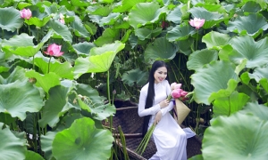 Hanoi City One day trip