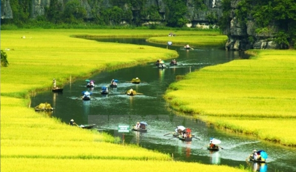 Hoa Lu - Tam Coc 01 Day trip