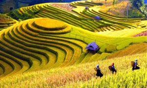 Sapa by bus 2 days 01 night