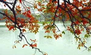 Hanoi City One day trip