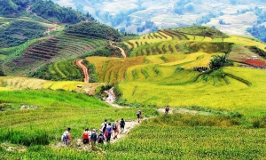Hanoi-Halong bay-Sapa-City tour (7ds 6ns Package)