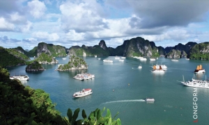 Hanoi-Halong bay-Sapa-City tour (7ds 6ns Package)